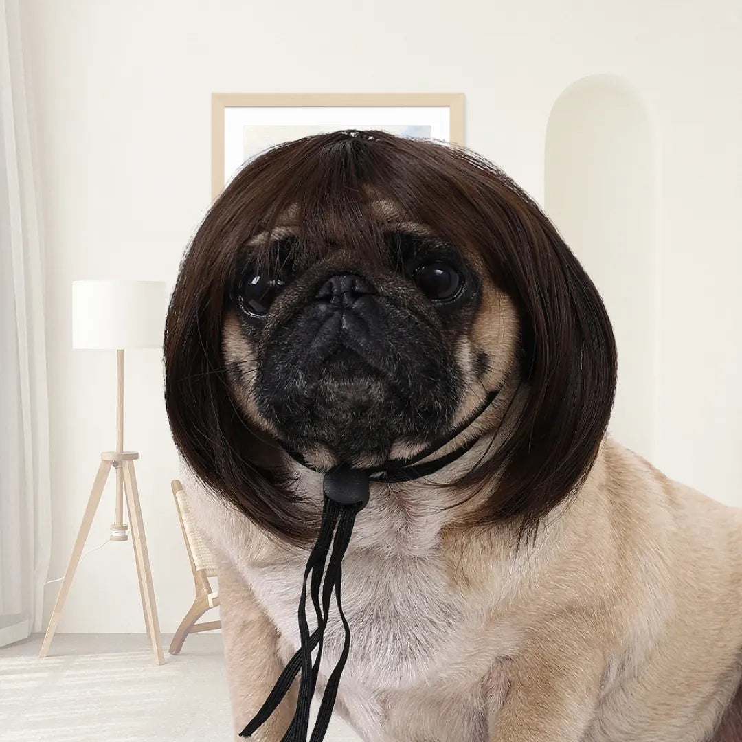 Funny Cosplay Wig for Cats & Dogs
