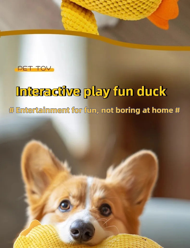 Bite-Resistant Duck Plush Toy for Pets
