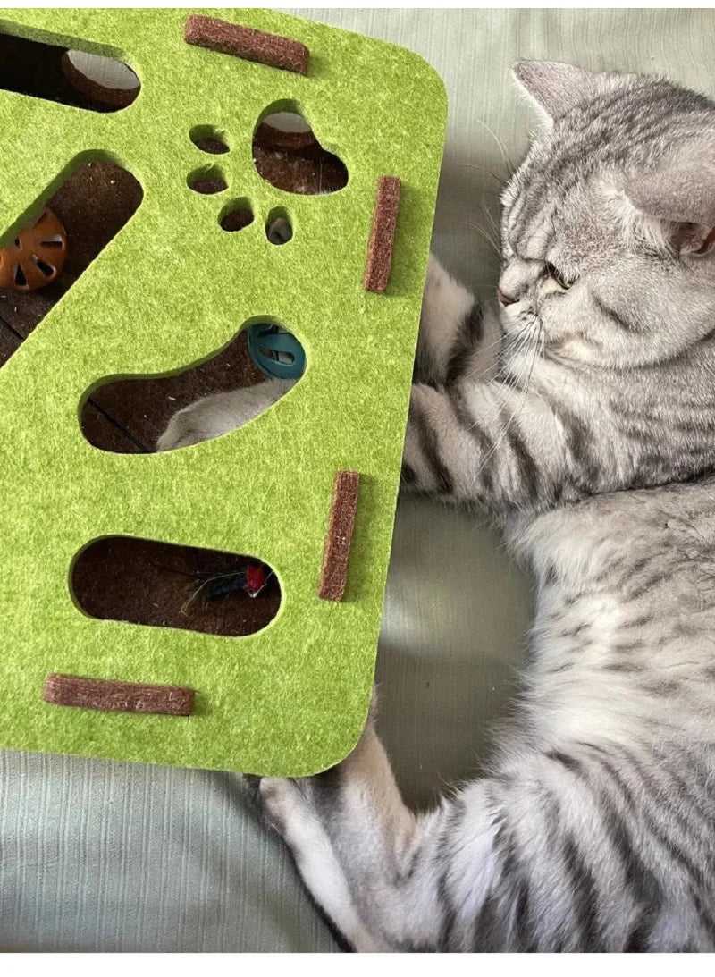 Interactive Puzzle Maze Toy for Cats