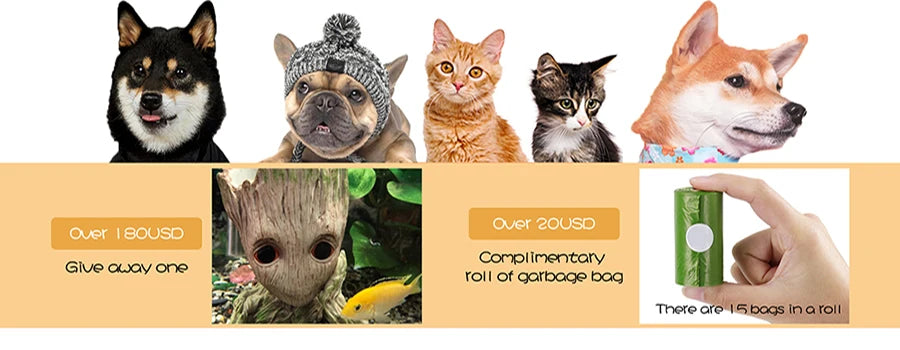 Dualpet Kitten Toys Variety Cat