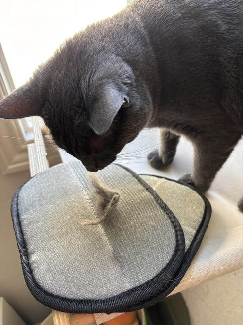 Customer review photo