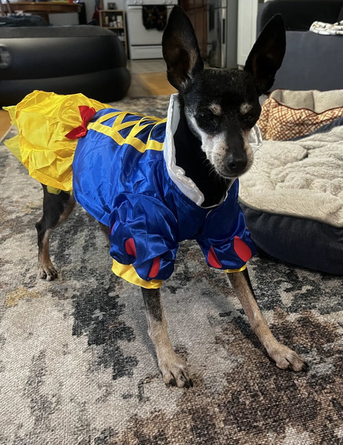 Customer review photo