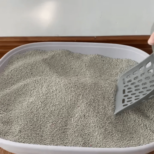 Cat Litter Scooper with Holder