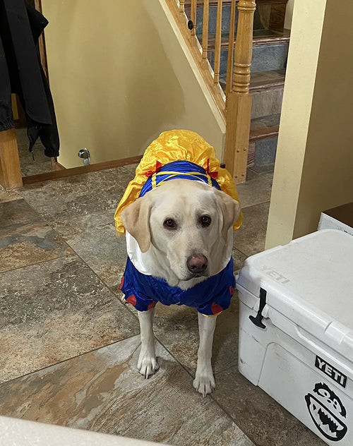 Customer review photo