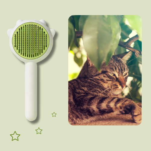 Pet Massage & Grooming Comb for Cats & Dogs