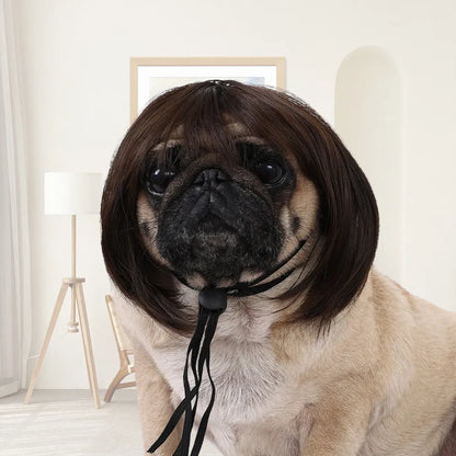 Funny Cosplay Wig for Cats & Dogs