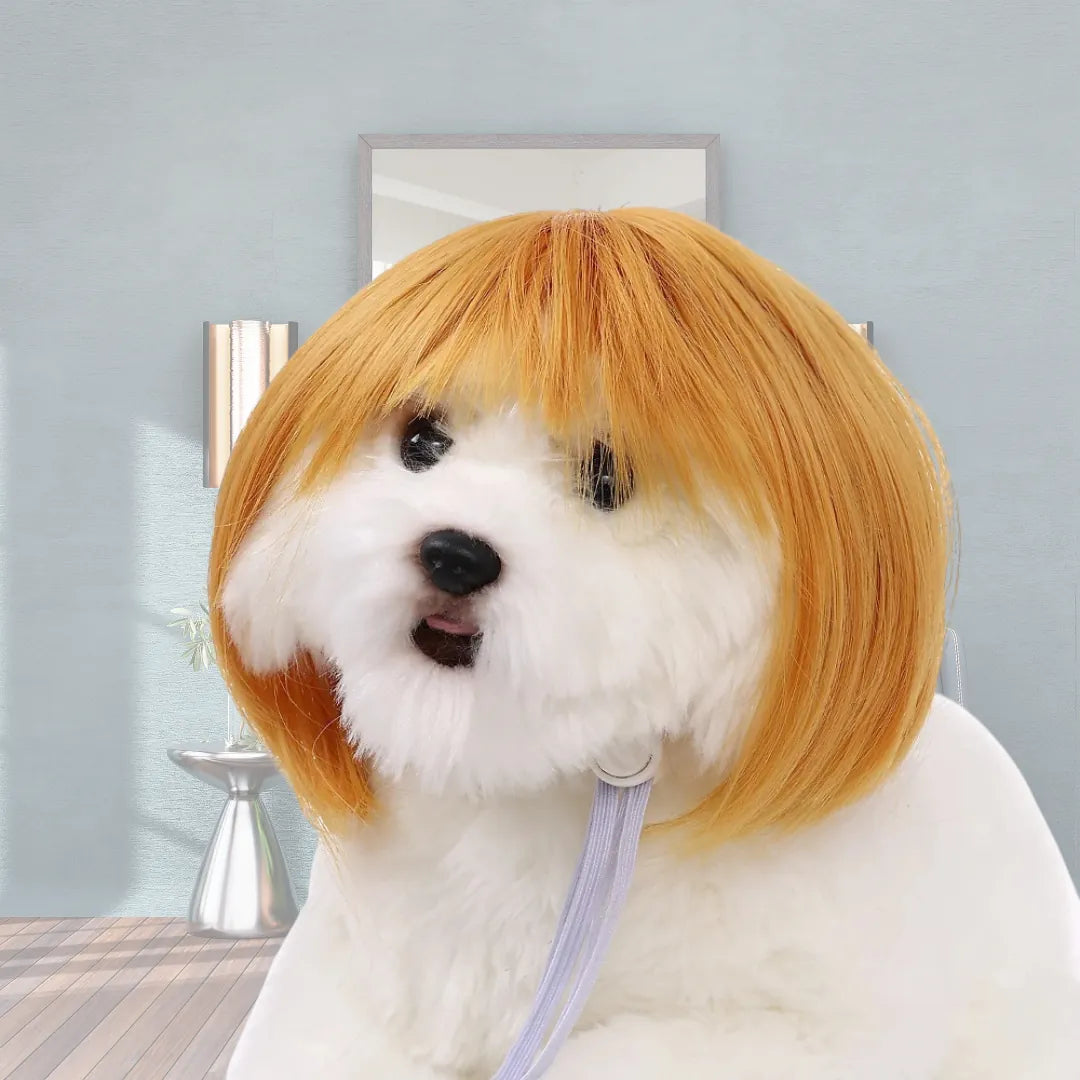 Funny Cosplay Wig for Cats & Dogs