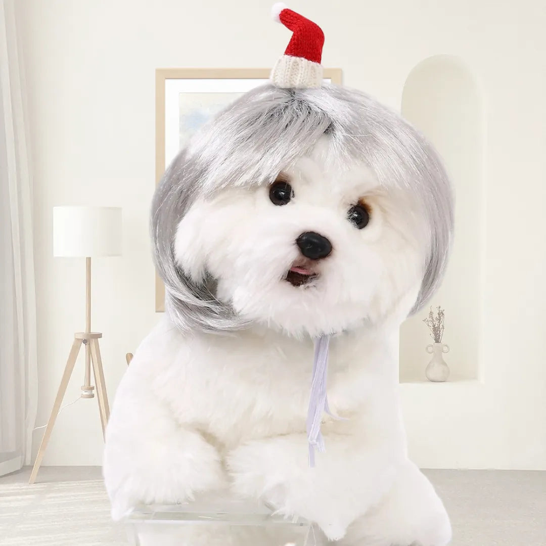Funny Cosplay Wig for Cats & Dogs