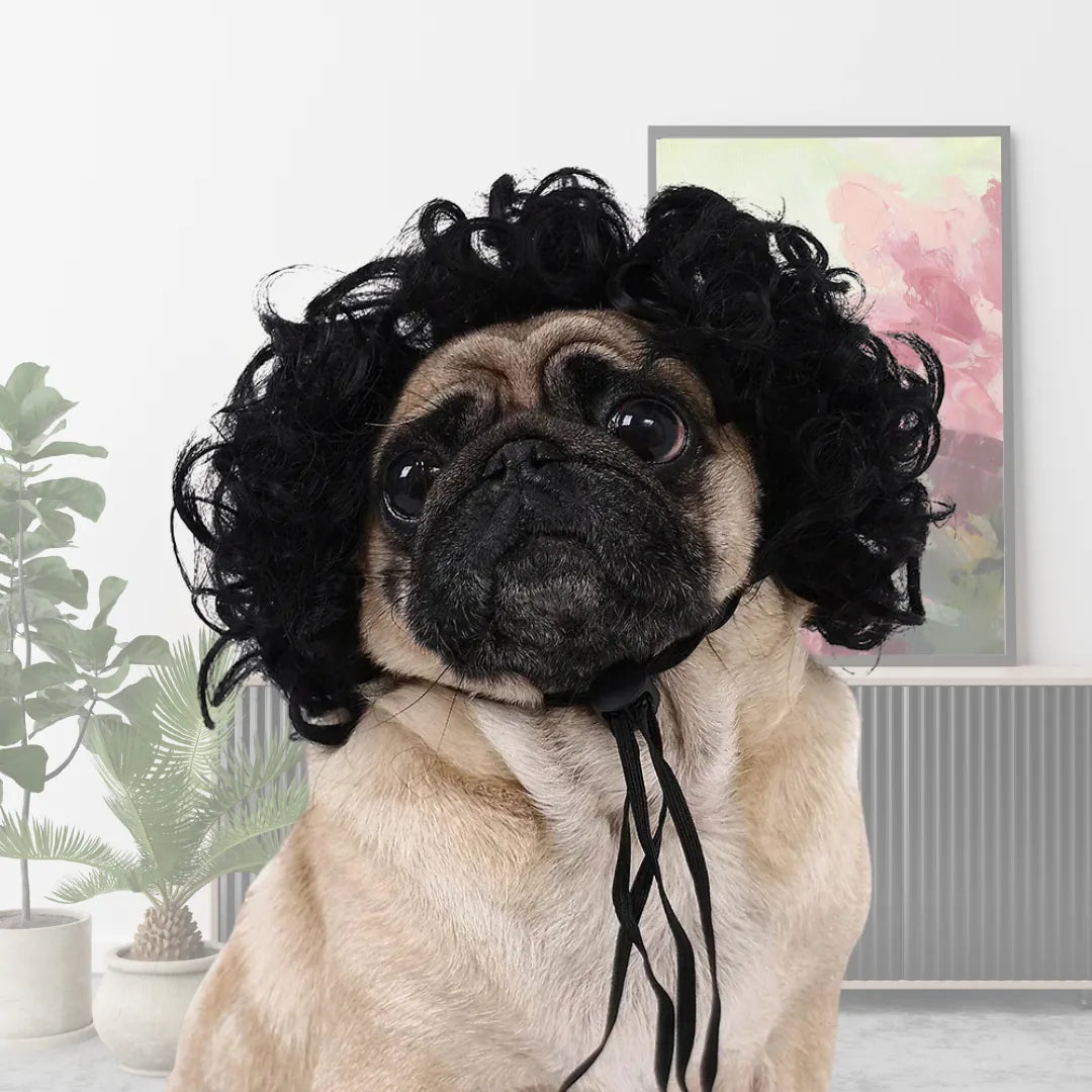 Funny Cosplay Wig for Cats & Dogs