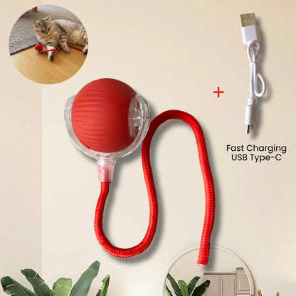 Smart Interactive Rolling Ball for Cats & Dogs
