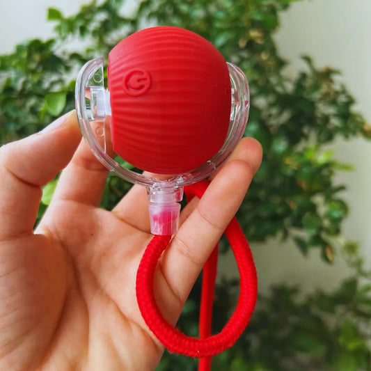Smart Interactive Rolling Ball for Cats & Dogs