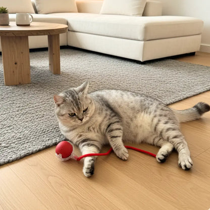 Smart Interactive Rolling Ball for Cats & Dogs