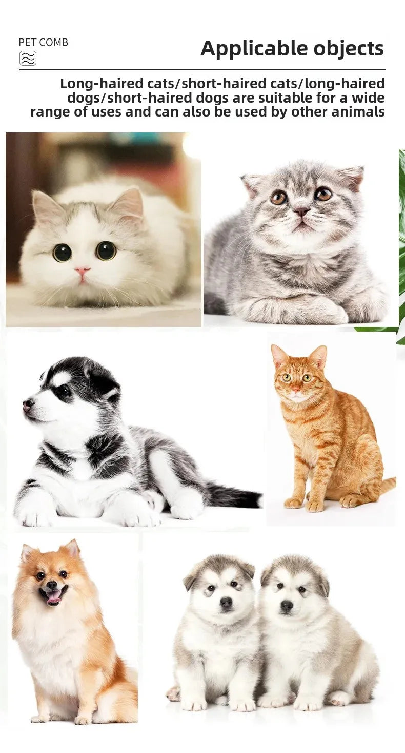 Professional Flea Comb Dogs Cats