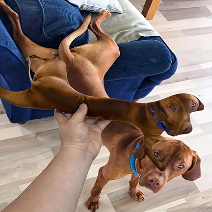 Personalized 3D Pet Pillow