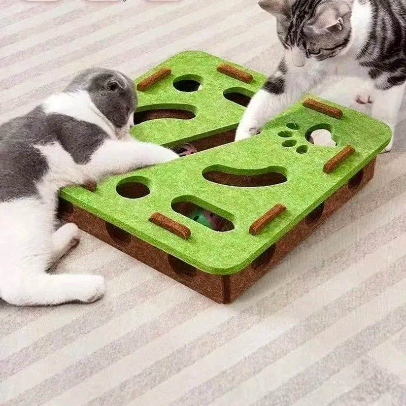 Interactive Puzzle Maze Toy for Cats