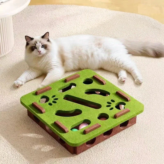 Interactive Puzzle Maze Toy for Cats