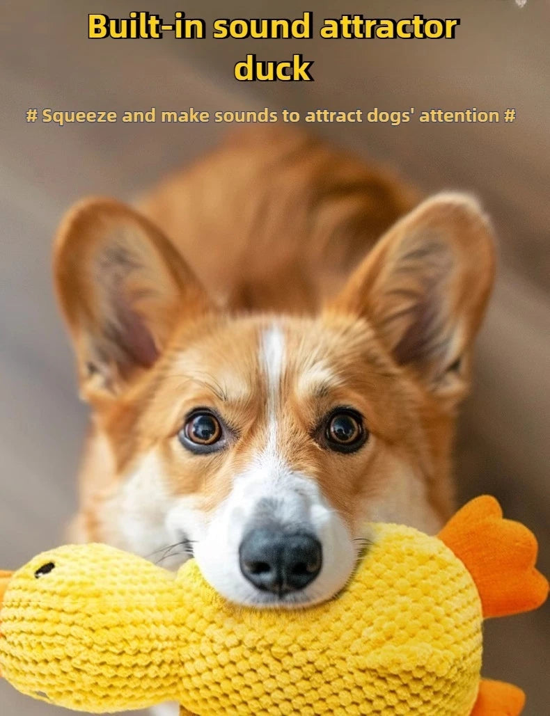 Bite-Resistant Duck Plush Toy for Pets
