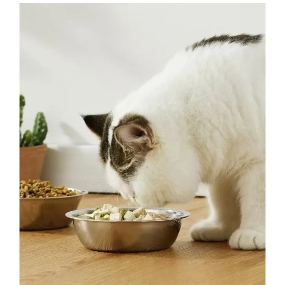 Raised Inclined Stainless Steel Pet Bowl