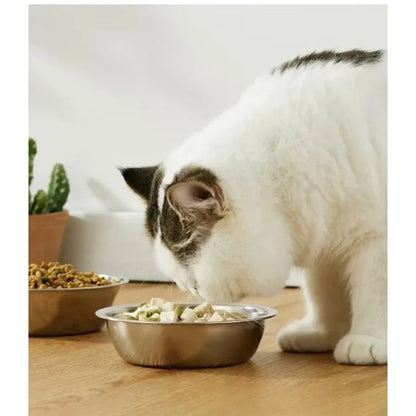 Raised Inclined Stainless Steel Pet Bowl