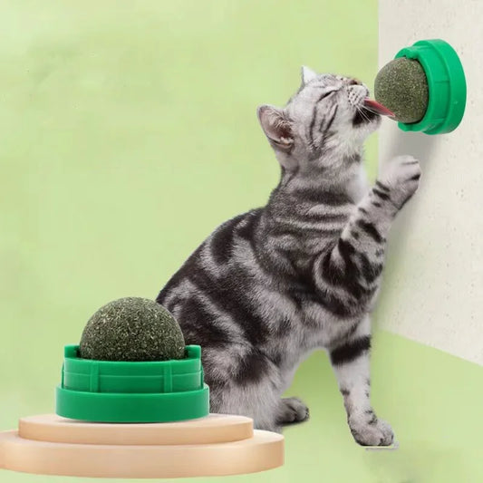 Catnip Wall Stick Ball Toy for Cats