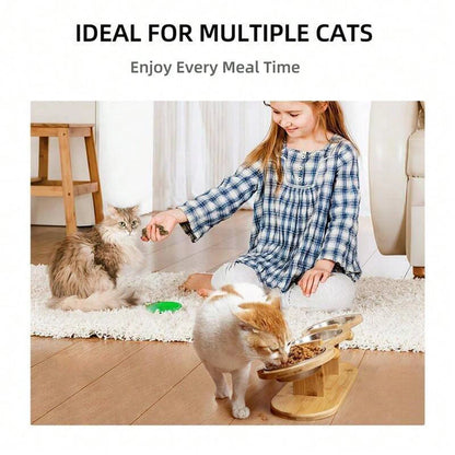 3-in-1 Cat Feeder with Bowls