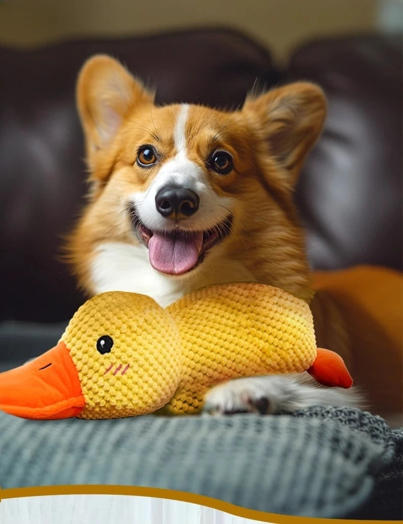 Bite-Resistant Duck Plush Toy for Pets