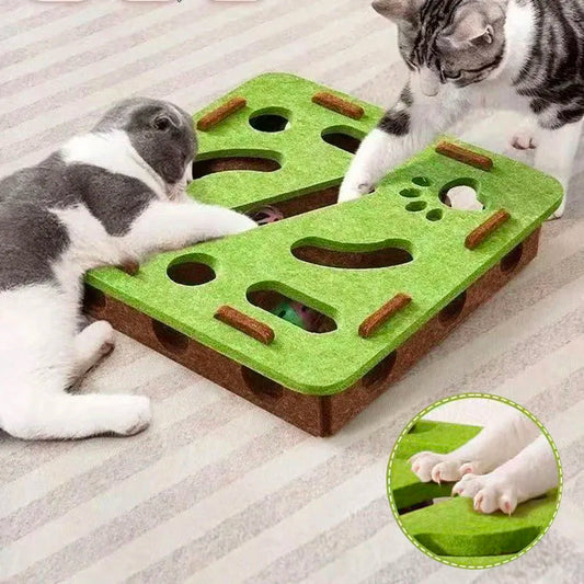 Interactive Puzzle Maze Toy for Cats