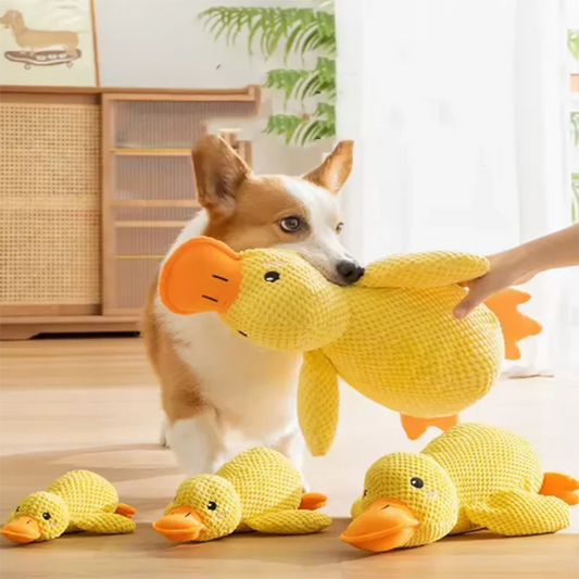Bite-Resistant Duck Plush Toy for Pets