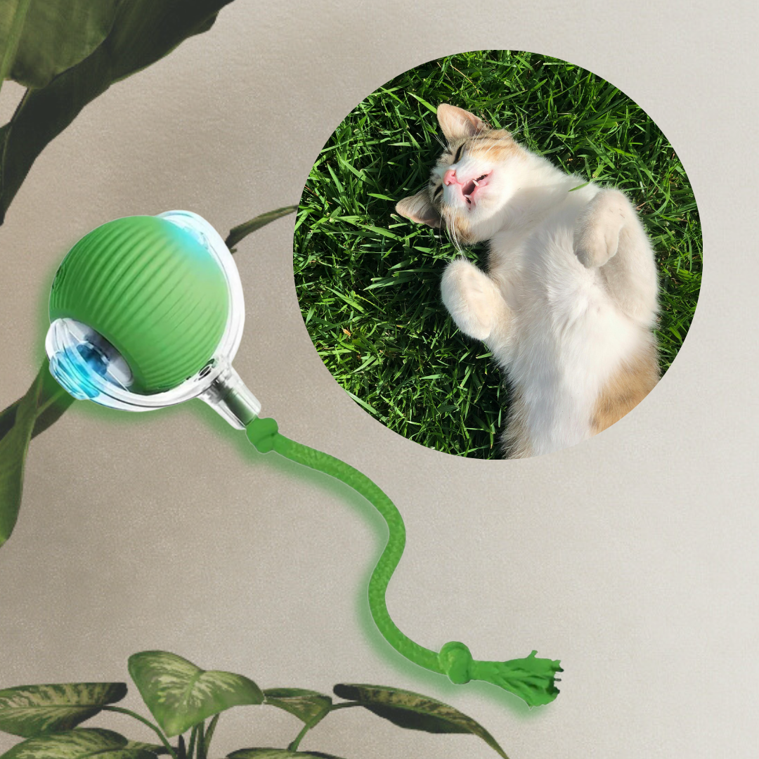 Smart Interactive Rolling Ball for Cats & Dogs