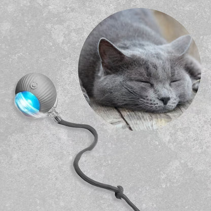 Smart Interactive Rolling Ball for Cats & Dogs