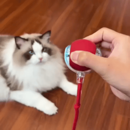 Smart Interactive Rolling Ball for Cats & Dogs